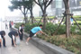 令人欣慰的是本次活動(dòng)還吸引了一些年輕的環(huán)保志愿者參加。