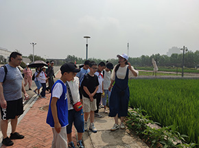 永旺七色花體驗(yàn)營(yíng)—走進(jìn)海水稻研發(fā)基地 珍惜糧食做光盤行動(dòng)的倡導(dǎo)者