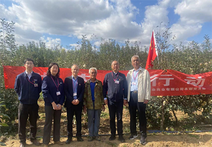 滯銷蘋果一天上餐桌 永旺超市農(nóng)超對(duì)接助民生