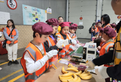 學(xué)習(xí)東南亞水果知識—七色花體驗營走進都樂食品加工廠