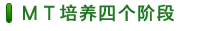 MT培養(yǎng)四個階段